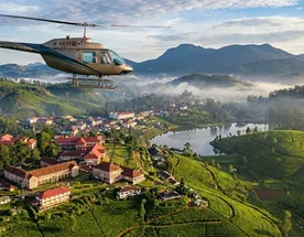 Индивидуальный Vip-тур по Шри-Ланке