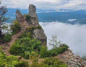 Комбо-Тур Адыгея