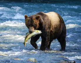 Рыболовный тур 7 дней все включено