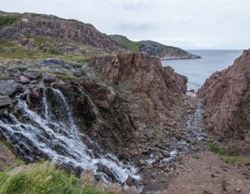 Однодневный тур в Териберку: сокровище Русского Севера