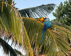 Волшебное путешествие на Мальдивы! Тропический рай!
