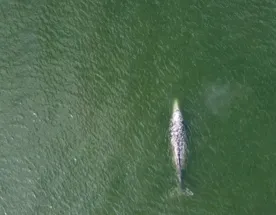 Север Сахалина