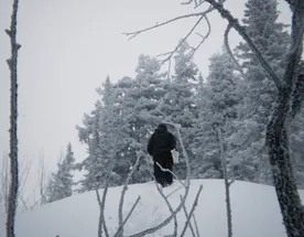 Тур в Шерегеш и Сноуборд кемп