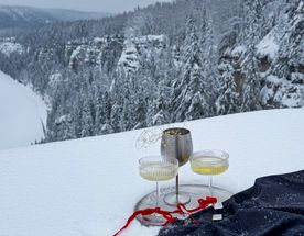 Снегоходный тур к Усьвинским столбам и Каменному городу