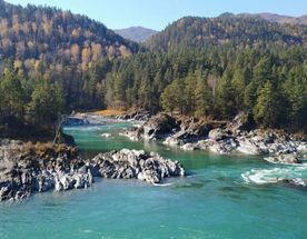 Влюбись в Алтай за 5 дней Весна-Лето-Осень