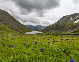 Дыхание Алтая