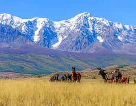 Алтай. Чуйский тракт и Телецкое озеро.