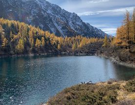 Алтайское кольцо. Активный тур. Семейный формат.