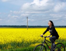 Лесная велопрогулка к старой немецкой школе