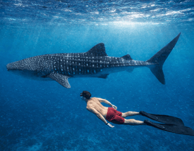 Мальдивы. Сафари по островам. Тропическое приключение в стиле Последний Герой.