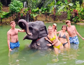 Авторский тур на остров Пхукет: Полное погружение