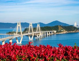 Южная Корея на майские. Путешествие во время цветения роз и азалий