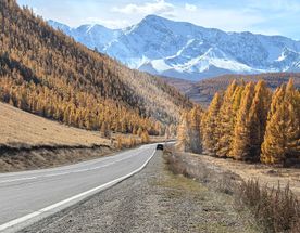 Велопоход Золотая осень на Алтае