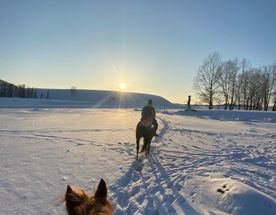 Конно-верховой тур до скалы Уклы-Кая