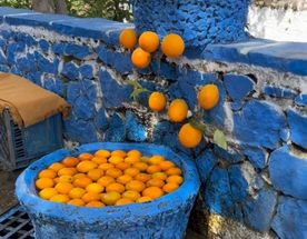 Марокко. Все Королевство + серфинг