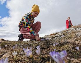 Территория детства. Весна 2026