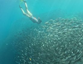 Филиппины  рай на земле!