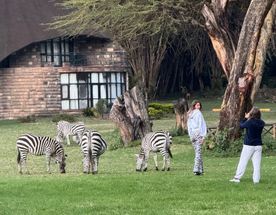 Кения. 10 дней:3 Нац парка,3 гостиницы с животными+3 дня на океане. Группа-6 человек