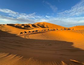 Сказочная кругосветка в Марокко, комфорт-тур от Атлантического океана до пустыни