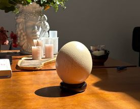 Кейптаун. Путешествие на край света.