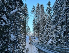 Выходные в Карелии: прогулки по шхерам Ладоги и Долина водопадов