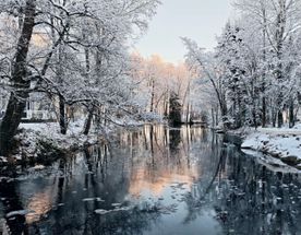 Вкус истории, аромат сыра, душа усадьбы!