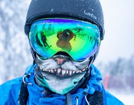 Банное - Абзаково