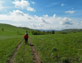 Долгие горы: выполнение программы Степной волк