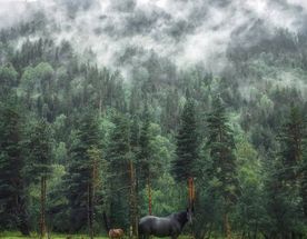 Закат на Бермамыте,виды Джилы-Су и Чегемское ущелье