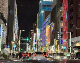 Япония. Откройте для себя мир гейш, самураев и цветущих клёнов