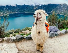 Quilotoa Lake adventure