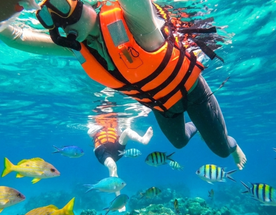 Тропический круиз в Рай Программа полного дневного морского похода