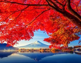 Япония: Алое путешествие