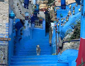 Марокко: приключение, которое не забывается