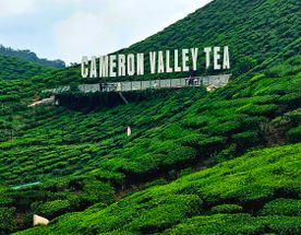 Малайзия: мегаполисы, горы и острова