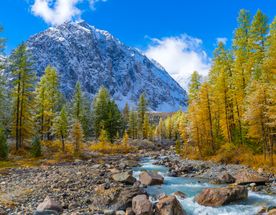 Путешествие Весь Алтай (10 дней)