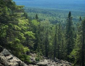 Путешествие в Висимский заповедник-эталон Среднего Урала