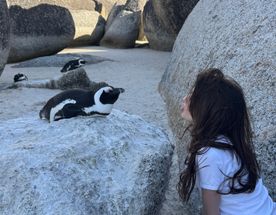 Девичник мечты в Кейптауне на 8 марта: океан, сафари и винные долины