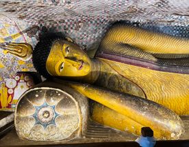 Вибрации Шри-Ланки: практика медитации в топ локациях за 9 дней