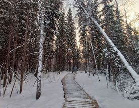 Якутия весной: Красота за полцены! Уникальные туры с 1 марта по 20 апреля выбери дату