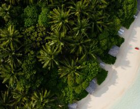 Тропические приключения на Мальдивах