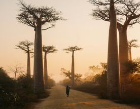 Мадагаскар. Маврикий Затерянный мир и тропическая сказка