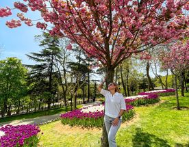 Яркий Стамбул: фестиваль тюльпанов 8-12 апреля