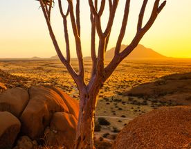 Тур в Намибию — путешествие, которое меняет представление об Африке.