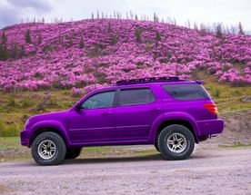 Весенний Маральник на Алтае