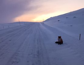 Кинематографичная Териберка