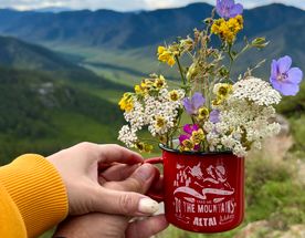 Волшебство Чуйского тракта. Знакомство с одной из самых красивых дорог мира