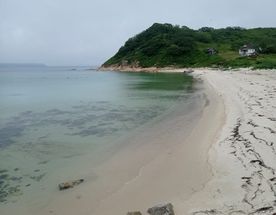 Заповедные истории: леопард, ларги и море