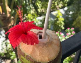 8 дней блаженства и открытий на райском острове для компании лучших друзей!