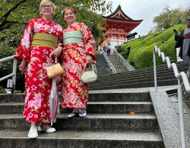 Япония: цветение сакуры